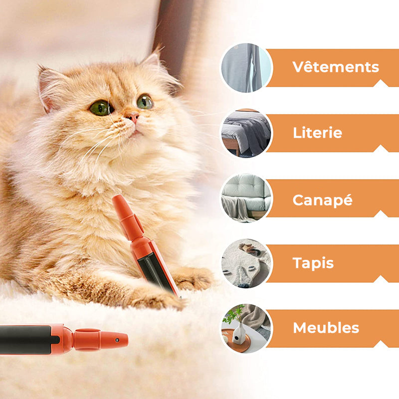 Pet Adhesive Brush